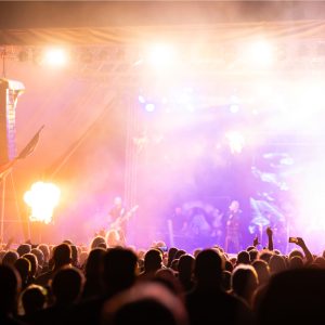 Soak Up the Festival Vibes