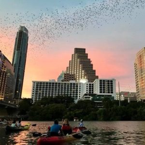 Watch the Congress Avenue Bats
